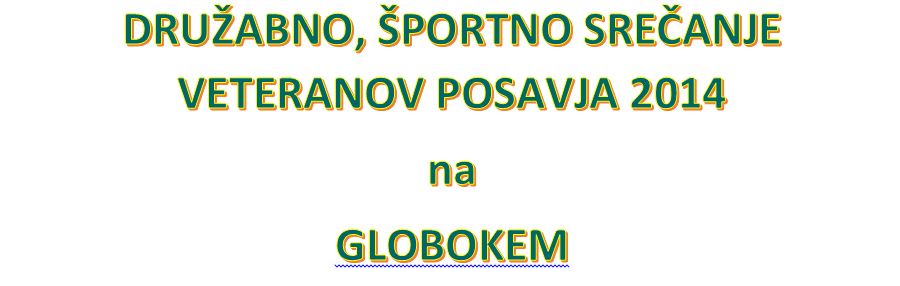 naslov srečanje veteranov posavja 2014